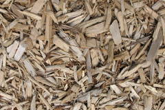 biomass boilers Beckley Furnace